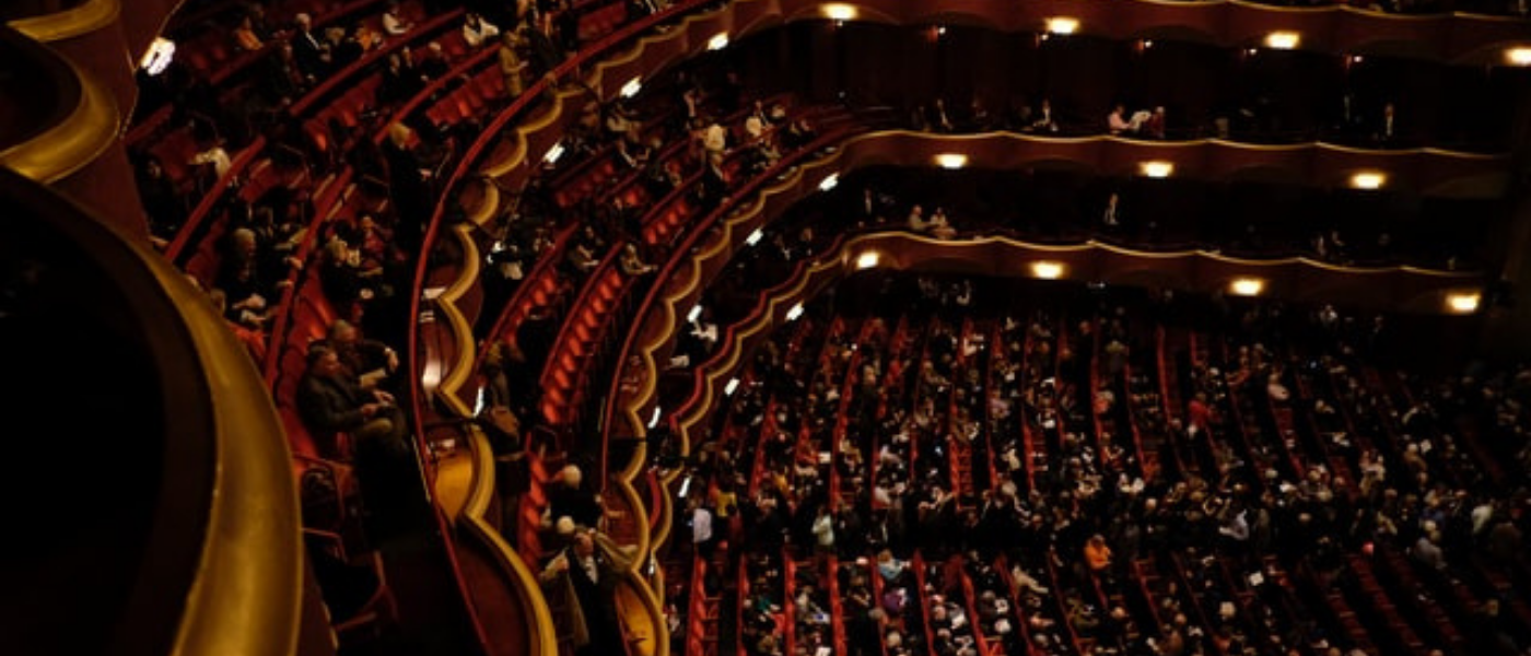 What's on - Shows and events